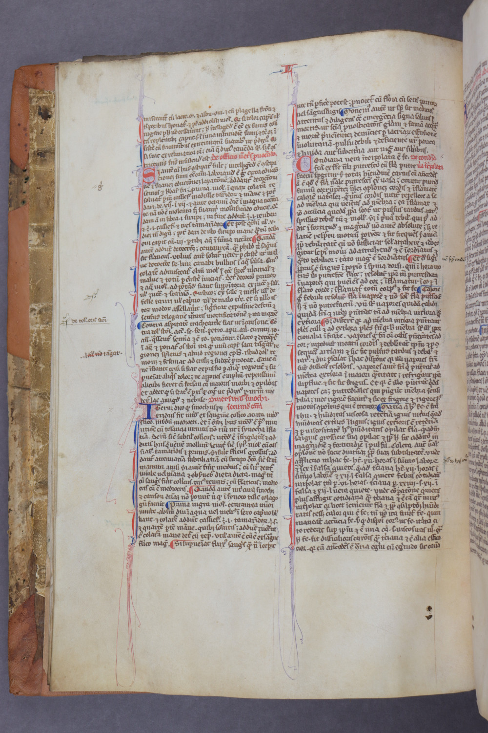 Folio 12 verso